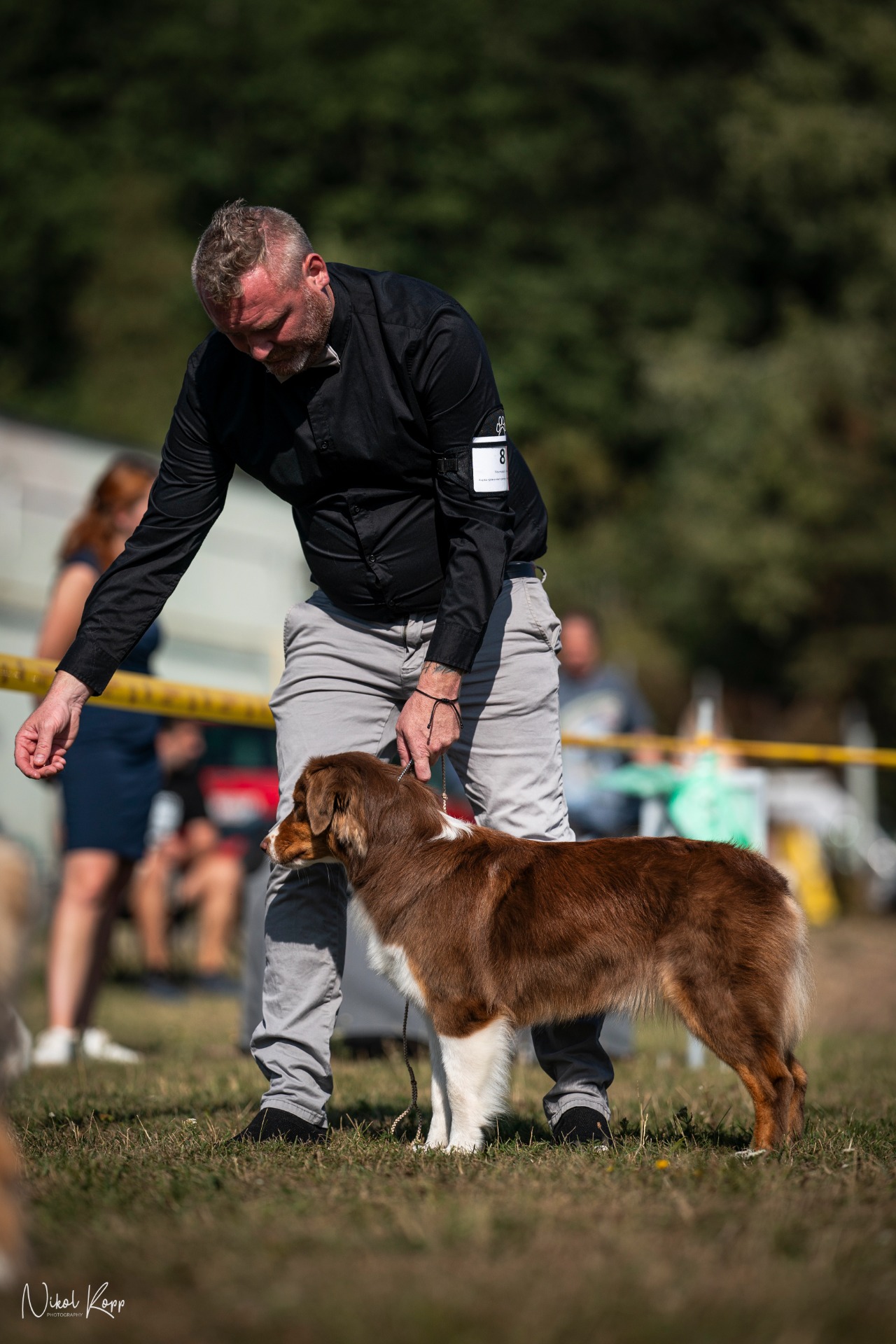 Krajská výstava psů ve Zbraslavi u Brna