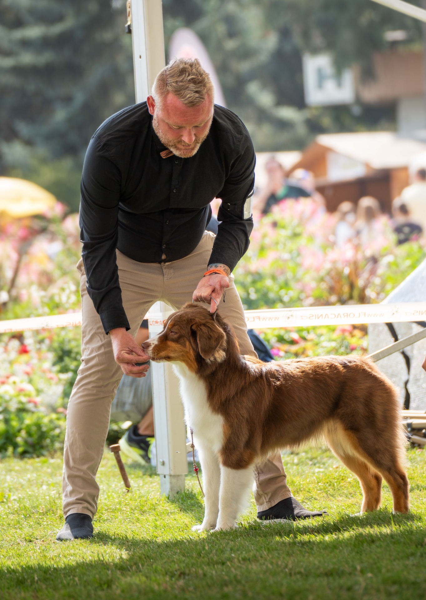 Mezinárodní výstava psů Floracanis v Olomouci